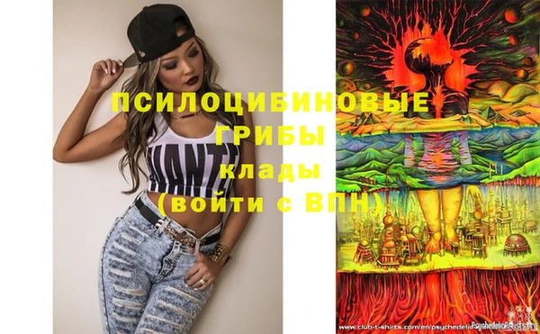 ешки Верея