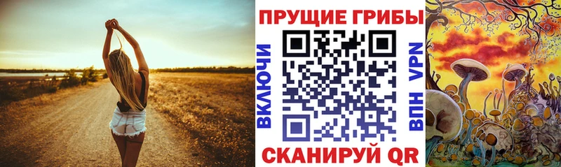 Псилоцибиновые грибы Cubensis  Купить где  Яблоновский 